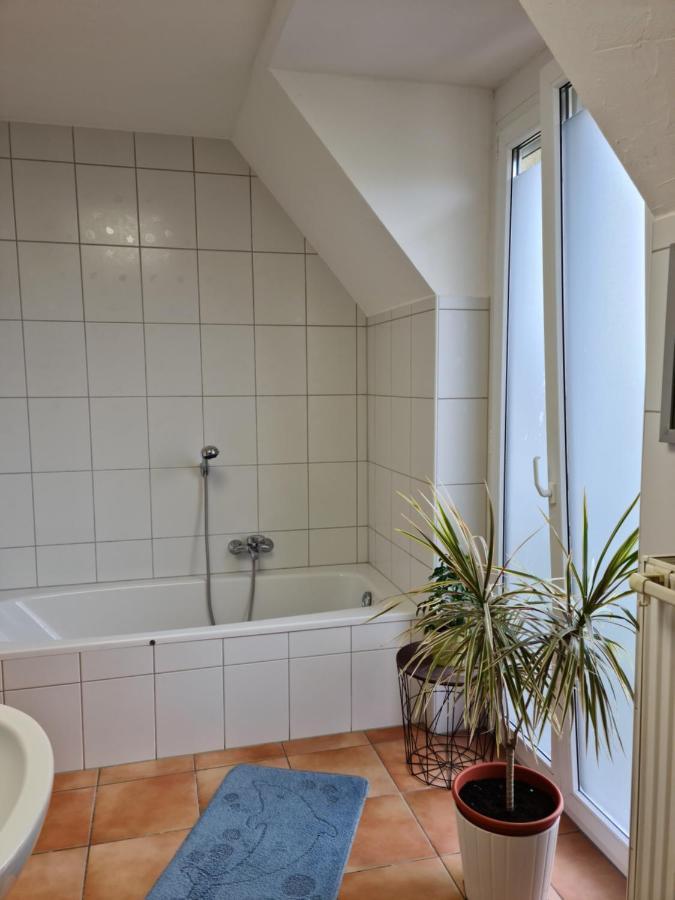 Lichtdurchflutetes Zimmer - Mainwiesen Waldbuttelbrunn Esterno foto