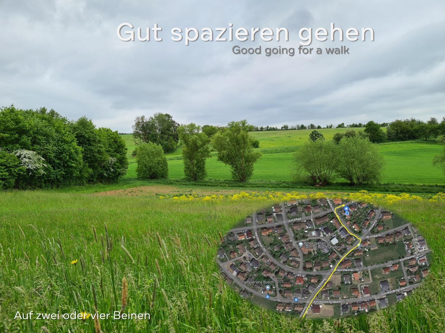 Lichtdurchflutetes Zimmer - Mainwiesen Waldbuttelbrunn Esterno foto